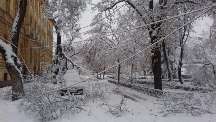 Timișoara, paralizată de ninsorile căzute în ultimele două zile