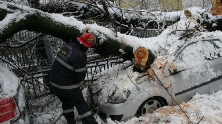 Dezastrul lăsat în urma zăpezii. Mii de oameni în beznă, copaci doborâți