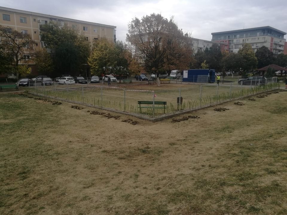 În Arad se amenajează primul parc destinat recreării patrupezilor
