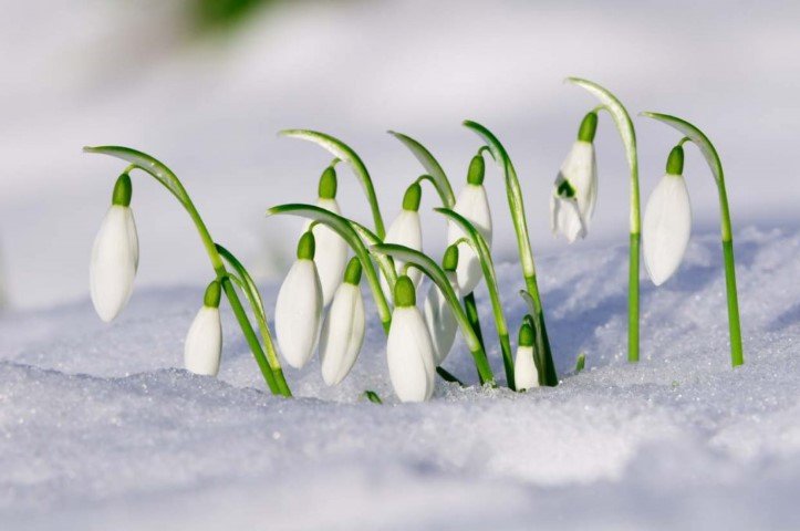 Cât mai durează vremea de primăvară. Meteorologii anunță schimbări dramatice