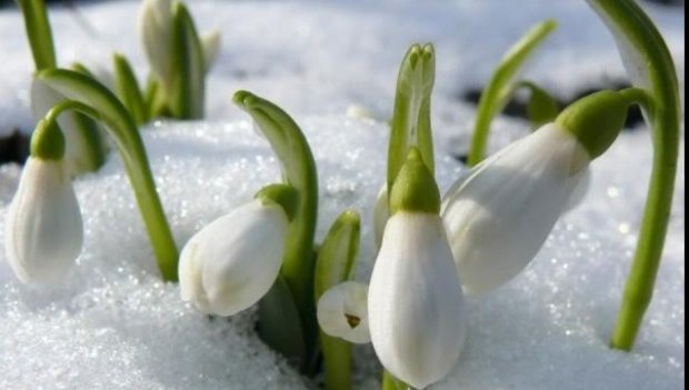 PROGNOZA METEO LUNARĂ. Precipitaţii excedentare în ultima lună de iarnă