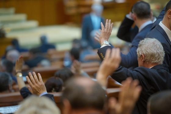 Bugetul Serviciului de Informaţii Externe a trecut de comisii. SIE: două luni din 2019 nu se pot acoperi salariile/ Bugetul SPP, raport favorabil/ Amendamentul referitor la vitamina D, respins