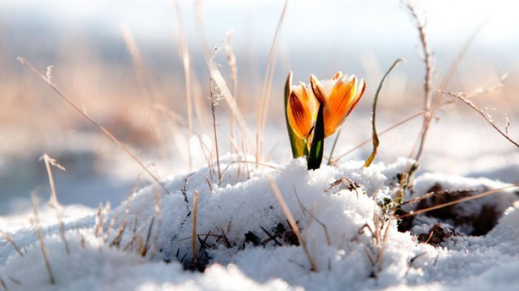 Prognoza meteo a fost revizuită. Schimbări spectaculoase: cum va fi vremea până pe 18 martie