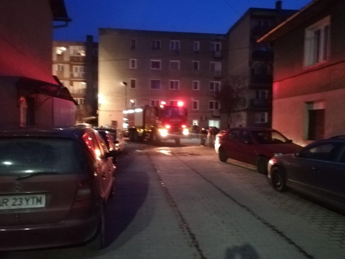 Incendiu la un coș improvizat de evacuare a fumului in orasul Sebis