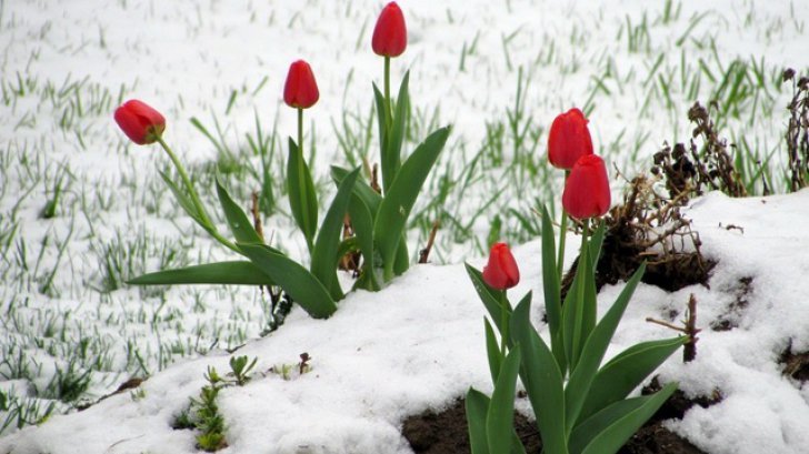 Prognoza meteo a fost revizuită. Schimbări spectaculoase: cum va fi vremea până pe 1 aprilie