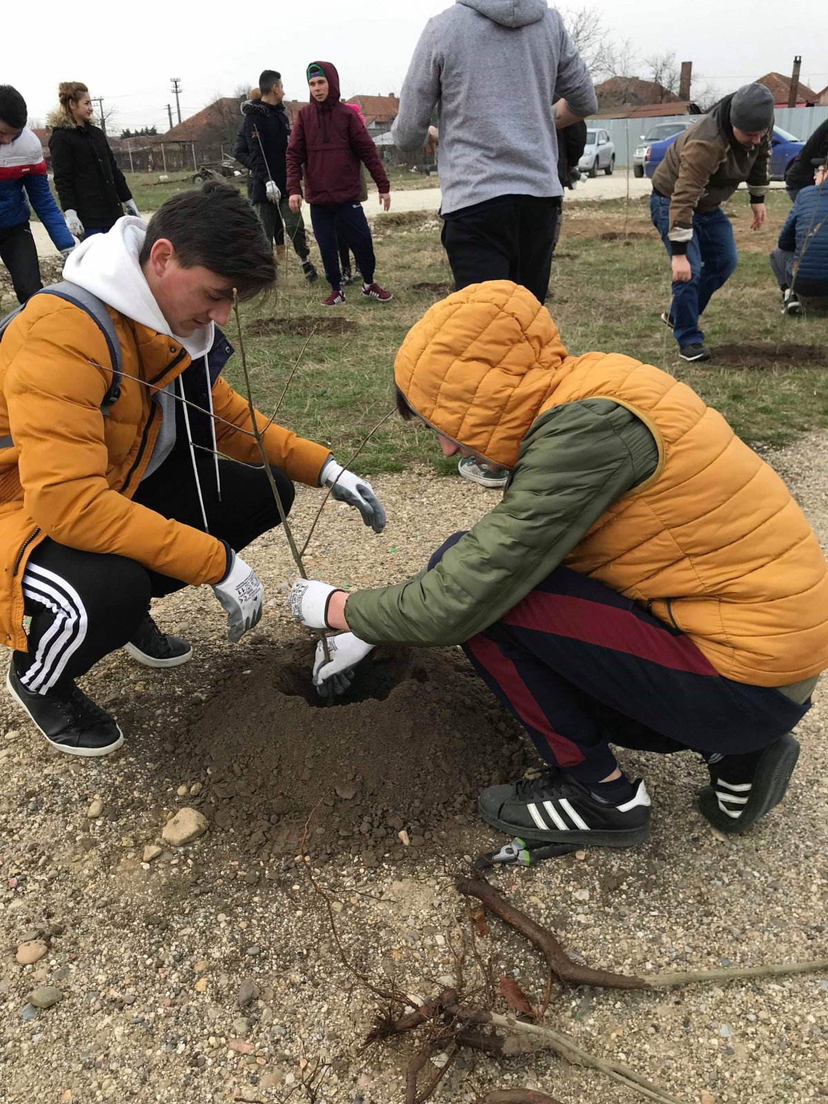 Elevii Liceului Tehnologic ,,Iuliu Moldovan” Arad au participat la activitatea de voluntariat ,,Gândeşte Verde” (FOTO)