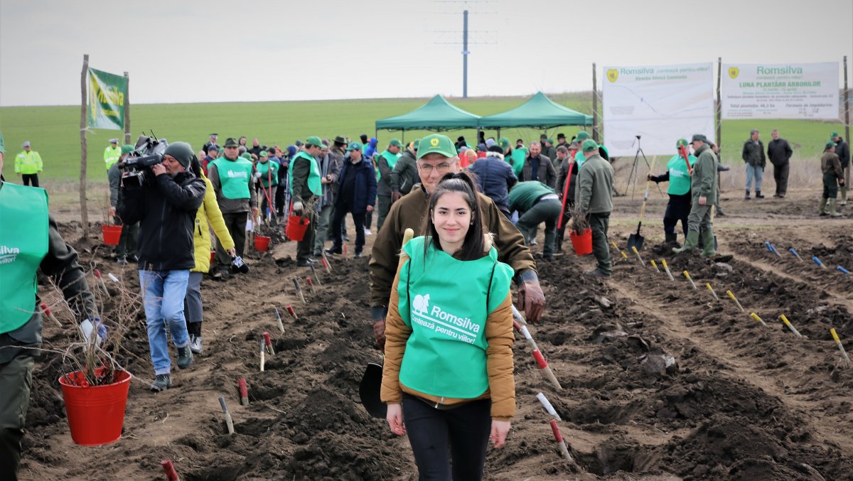 Debutul lunii plantării arborilor, marcat de Romsilva printr-o acțiune de înființare de perdele forestiere pe autostrada A2 