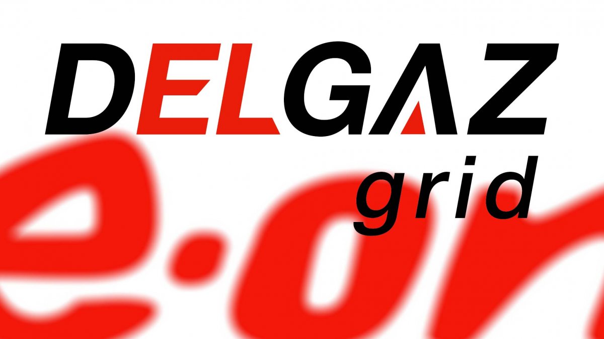 Compania Delgaz Grid a fost arsă la buzunare de Poliția Locală