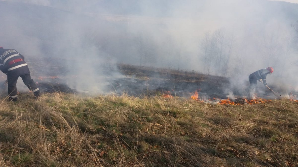 Apelurile noastre nu au nici un efect, incendiu în localitatea TOC