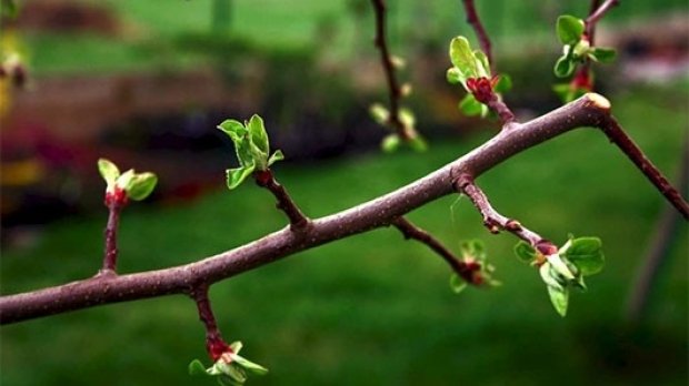 Prognoza meteo. Vreme capricioasă, vin zile calde, urmate de zile reci