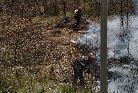 Incendiu in apropierea DN 7 la Toc si Slatina  de Mures.  Atentie in trafic!