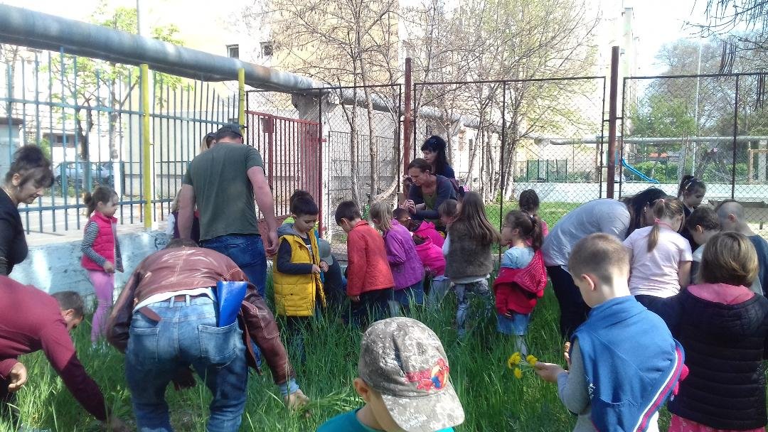 Plantare de arbori şi arbuşti la Şcoala Gimnazială ,,Aron Cotruş” Arad