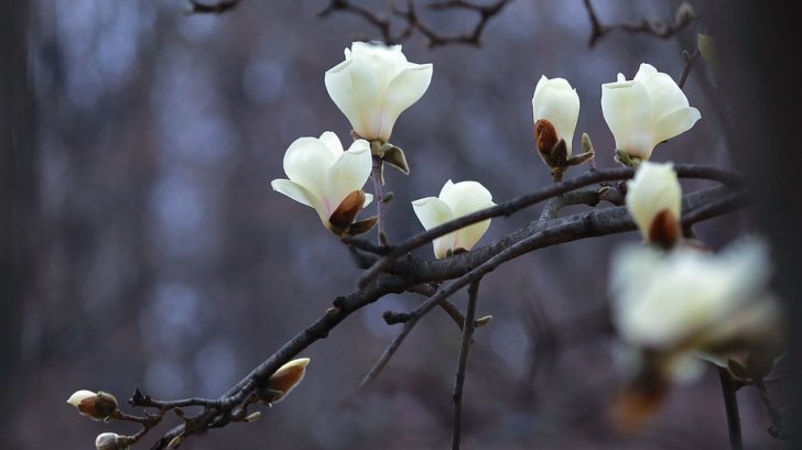 Prognoza meteo a fost revizuită. Schimbări neașteptate: cum va fi vremea până pe 6 mai