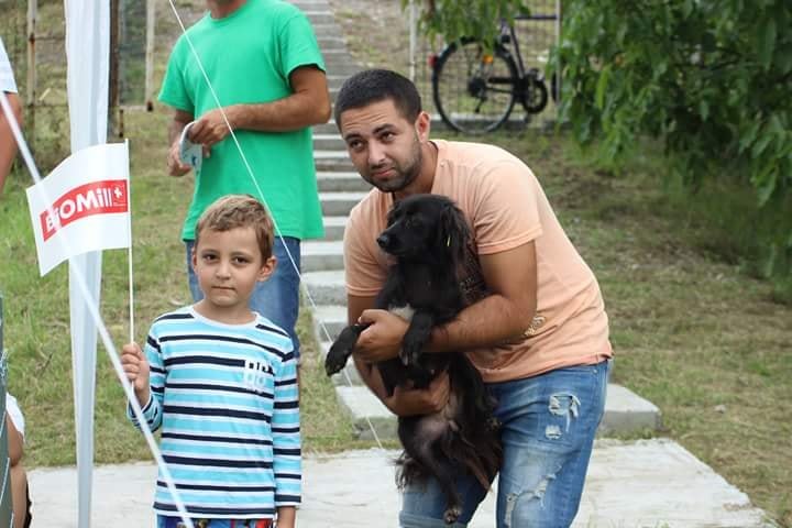 Târg de adopţii canine în Subcetate: ediția din acest an se va desfășura sâmbătă
