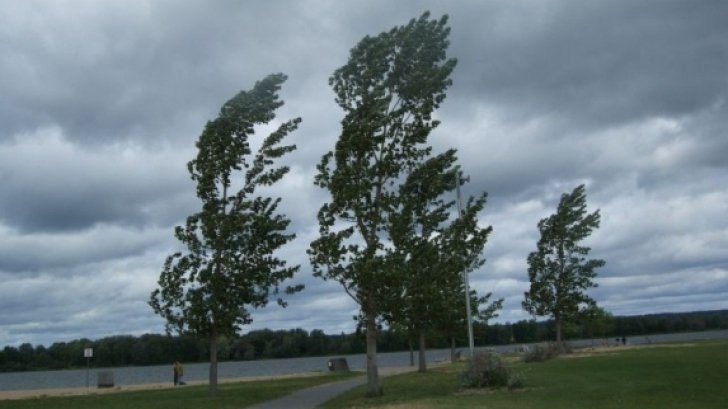 Veşti proaste de la meteo: Cod galben de ploi şi vânt puternic pentru toată ţara