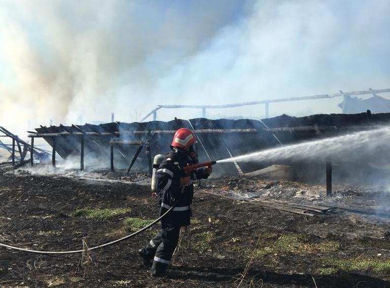 Incendiu la un adăpost de animale în Căpâlnaș
