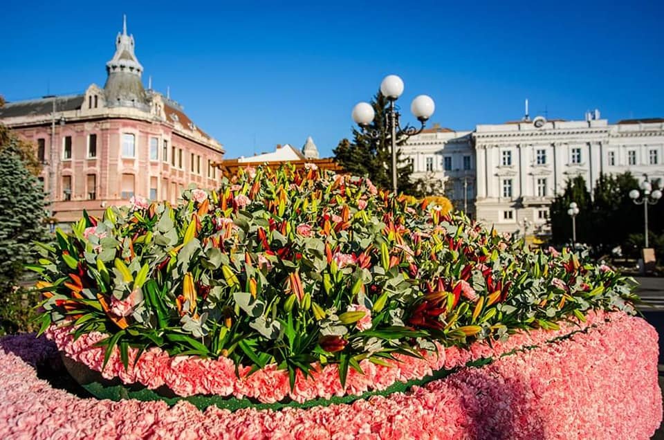 Festivalul „FlorAr“ începe vineri: figurine din mii de flori, muzică și dansuri stradale