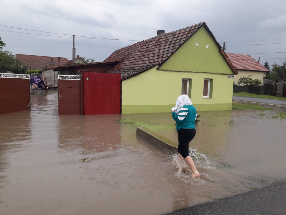 Pompierii intervin la Nădlac