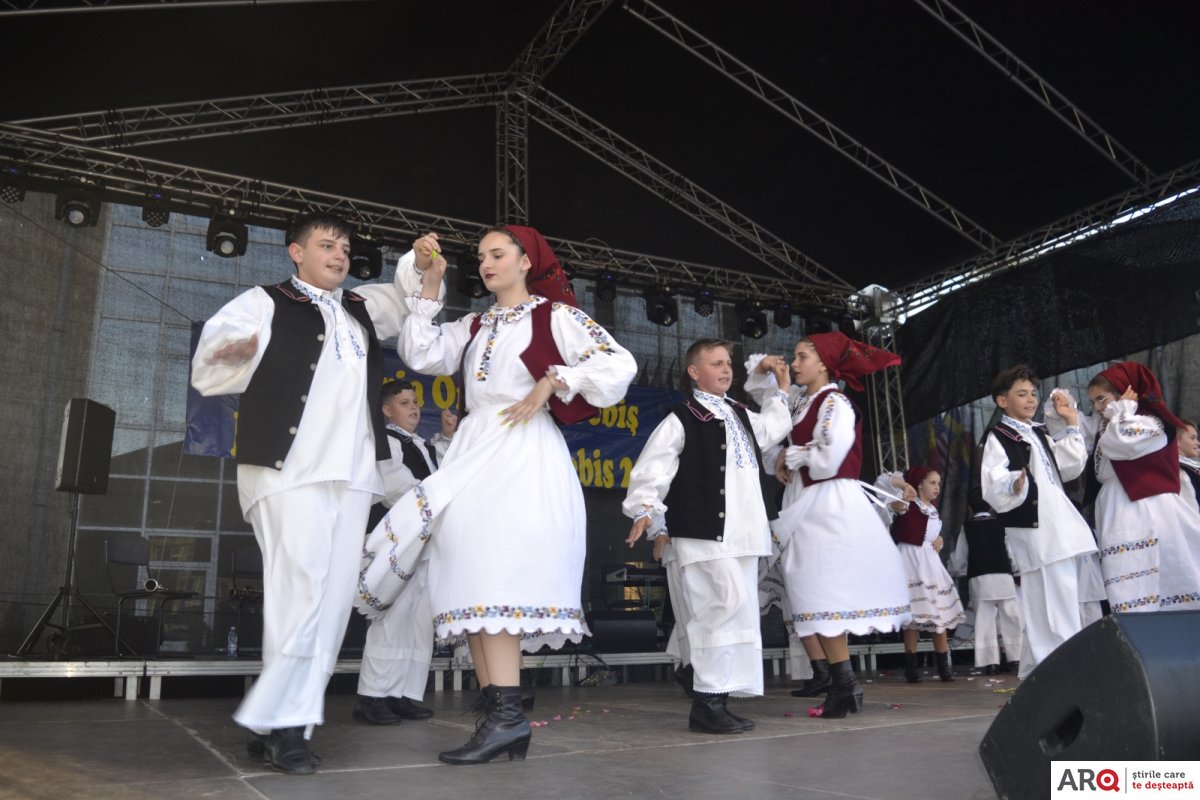 Festivalul de muzică de la Sebiș a ajuns la a XX-a ediție