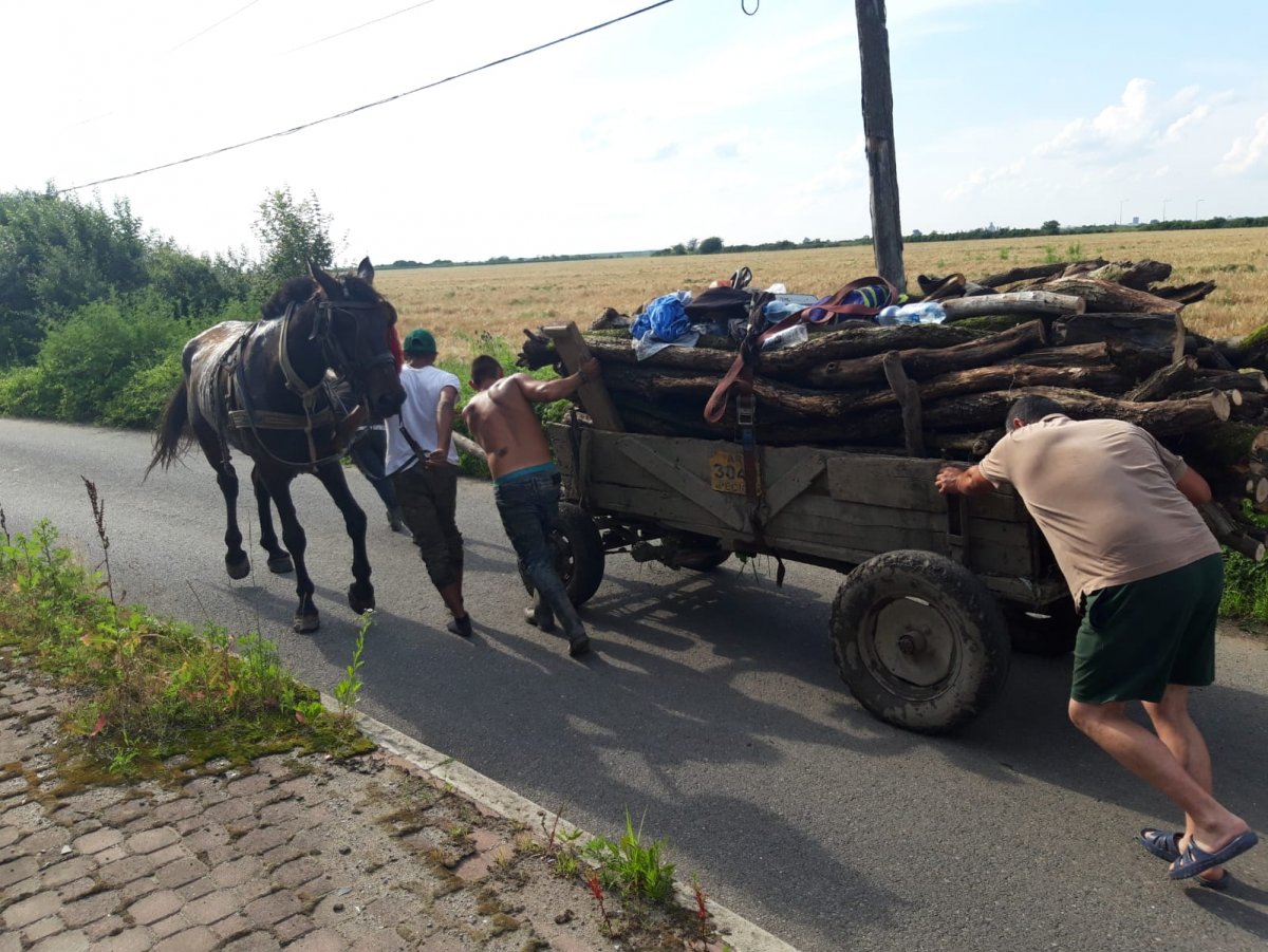 Orice viață contează!