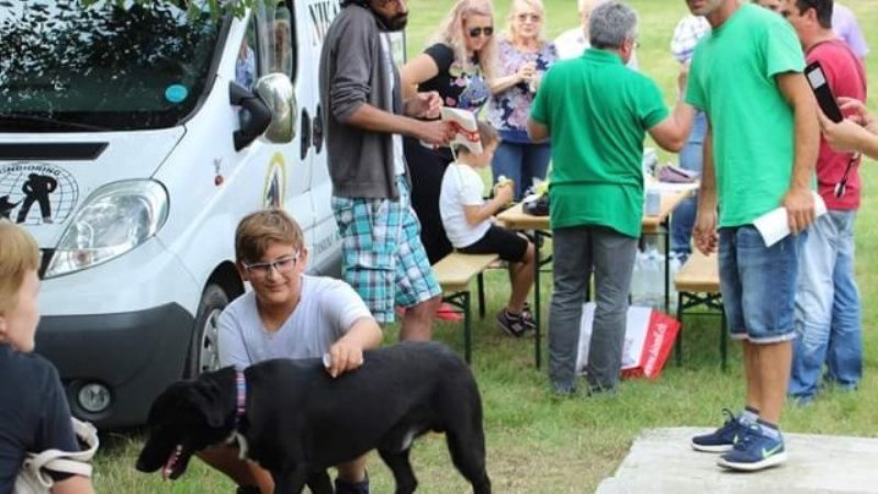 Parcul Chinologic din Subcetate va găzdui, mâine, o nouă ediție a Târgului de Adopție Canină