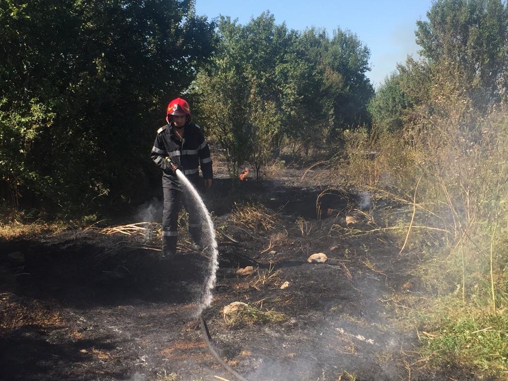 Incendiu de vegetație uscata la ieșirea din Horia