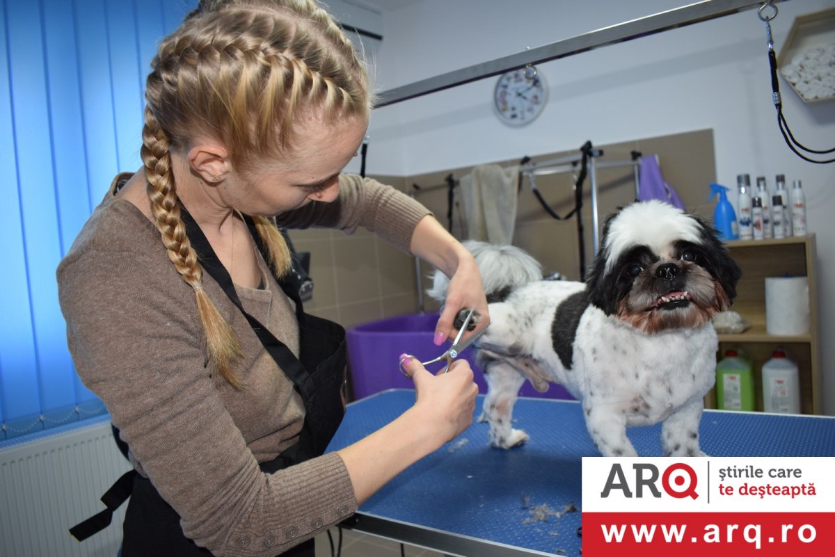  Clinica Veterinară Genesis oferă condiţii de top pentru animalele care au nevoie de ajutor