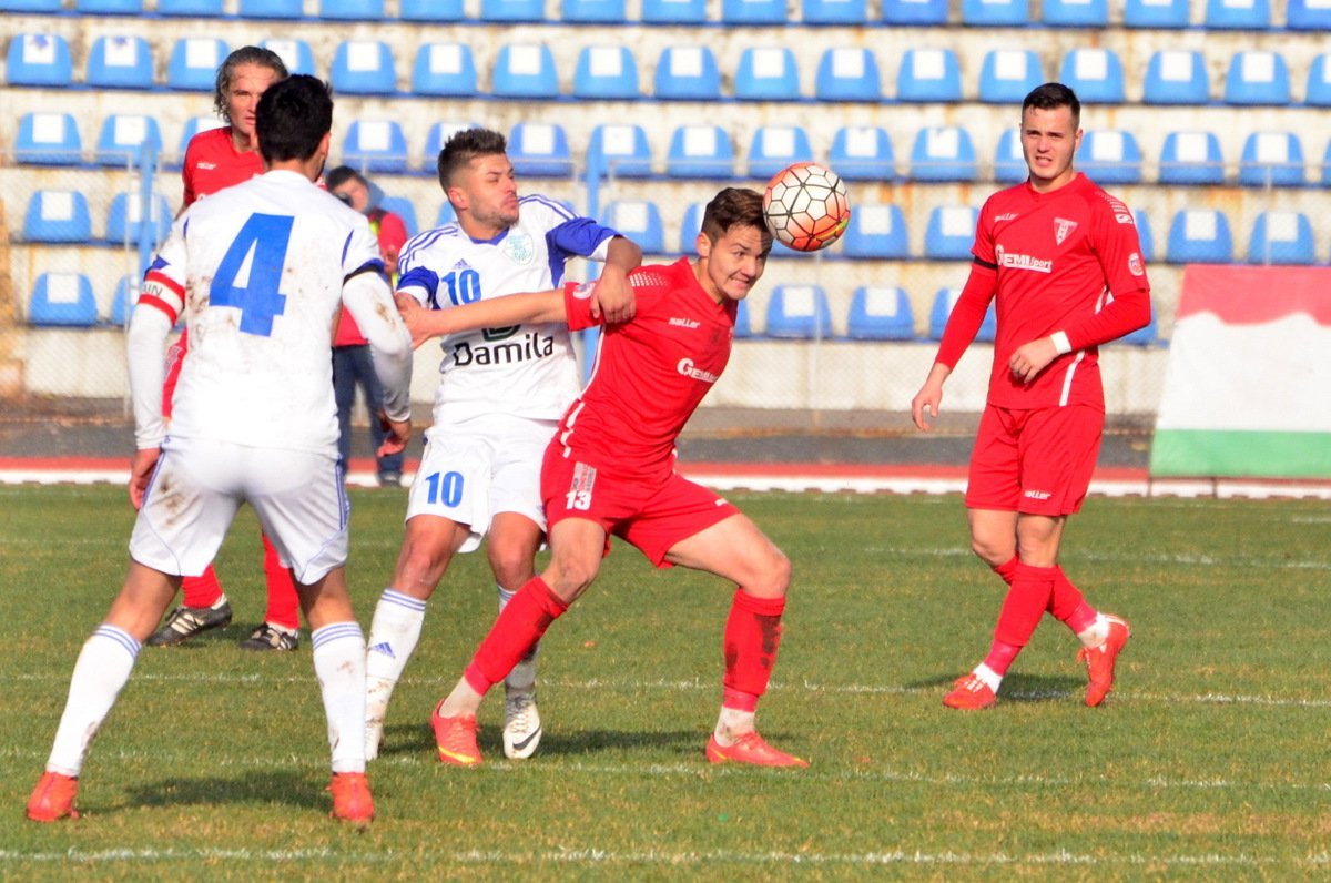 Clasamentul seriei secunde din Liga a II-a, la final de an