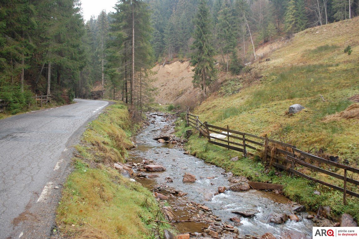 HOREA DIN MUNŢII APUSENI şi salba de izvoare binecuvântate