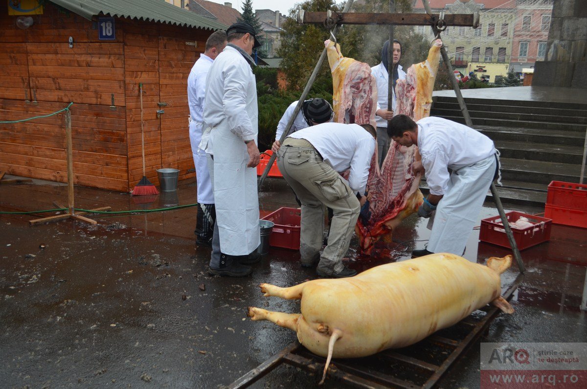 Tăierea tradiţională a porcului, oficiată în Piaţa Avram Iancu
