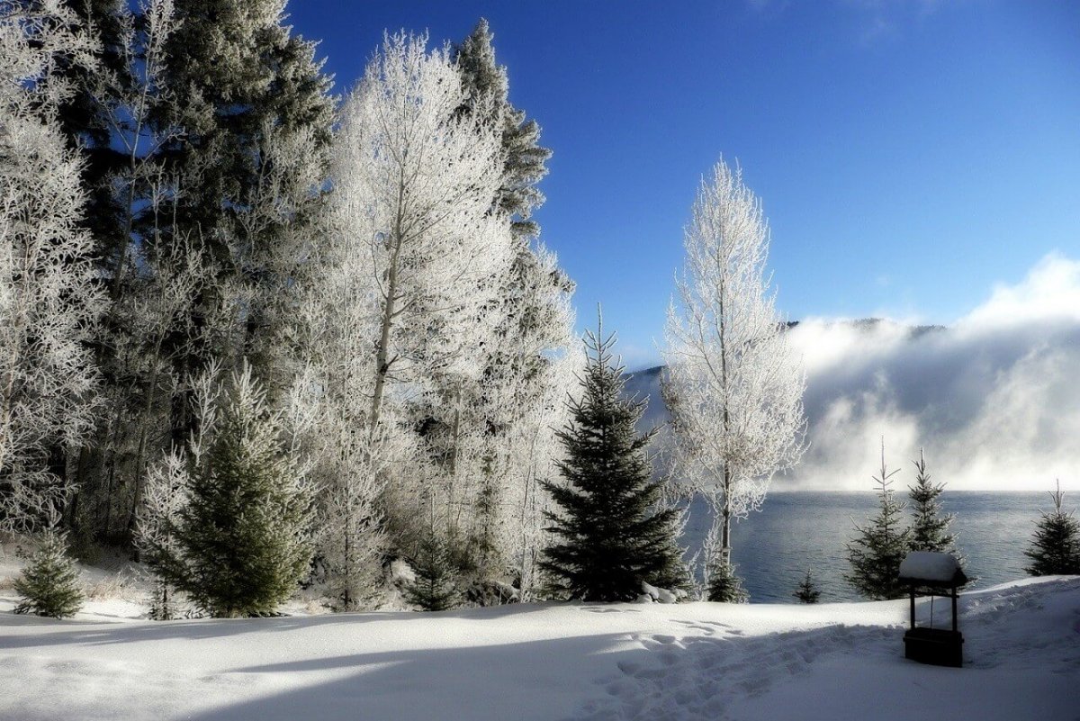 Prognoza meteo pe trei luni. Iarna rămâne atipică până la final. Cum va fi vremea la primăvară 