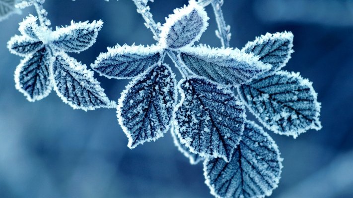 Cea mai RECE DIMINEAŢĂ de la începutul anului. Temperaturile au coborât până la minus 23 de grade 