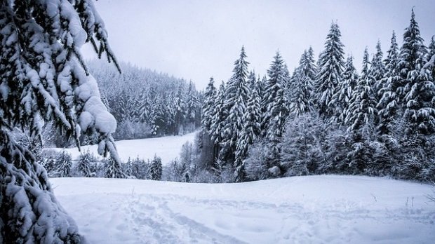 PROGNOZA METEO pe două săptămâni. Vremea se va încălzi uşor în zilele următoare 