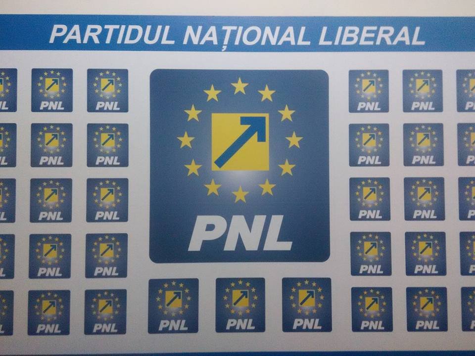 Trei liberali candidează pentru a fi în capul listei pentru Consiliul Județean Arad