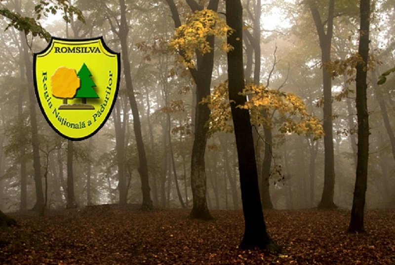 Regia Națională a Pădurilor – Romsilva și Societatea Progresul Silvic vor pune bazele unui fond de solidaritate destinat corpului silvic