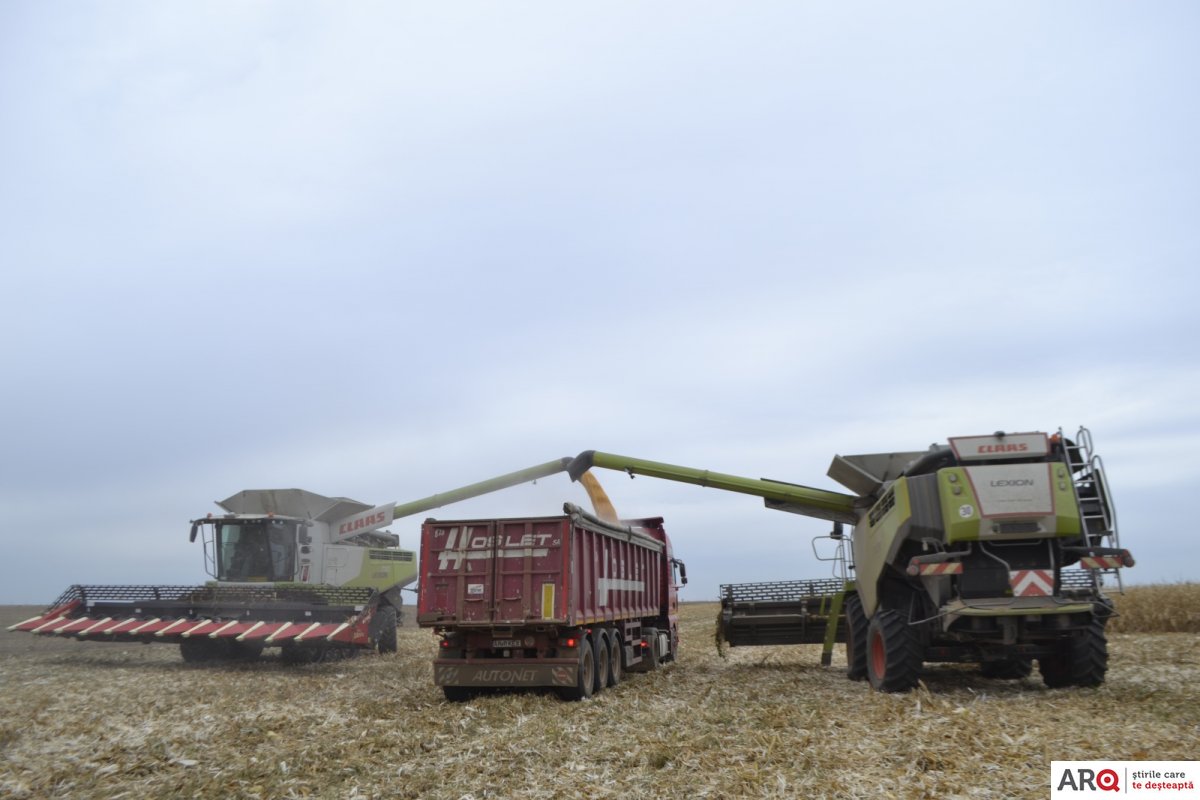 La  Frumușeni și Aluniș pământul este lucrat de un fermier român