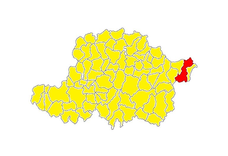 Cum „a reușit” să piardă liberalul Țoca alegerile prezidențiale la Hălmagiu