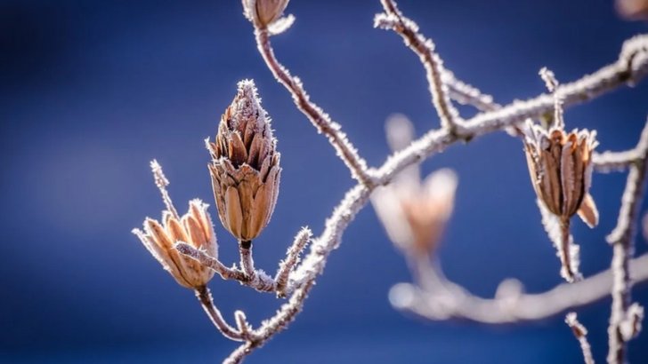 ALERTĂ METEO. Meteorologii au emis cod GALBEN de fenomene periculoase 