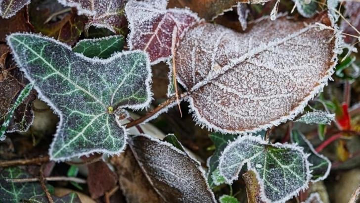 Meteorologii anunță schimbări dramatice. Cum va fi vremea până pe 16 februarie