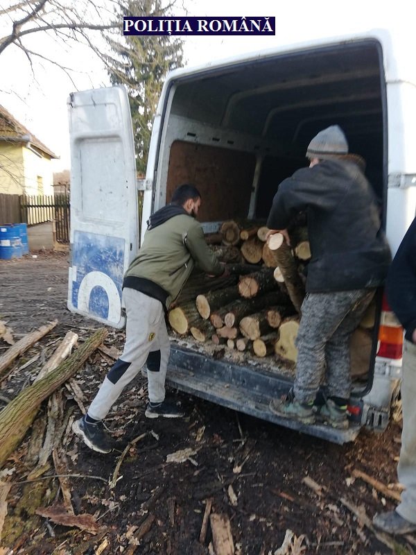 Lemne fără acte găsite la Fântânele