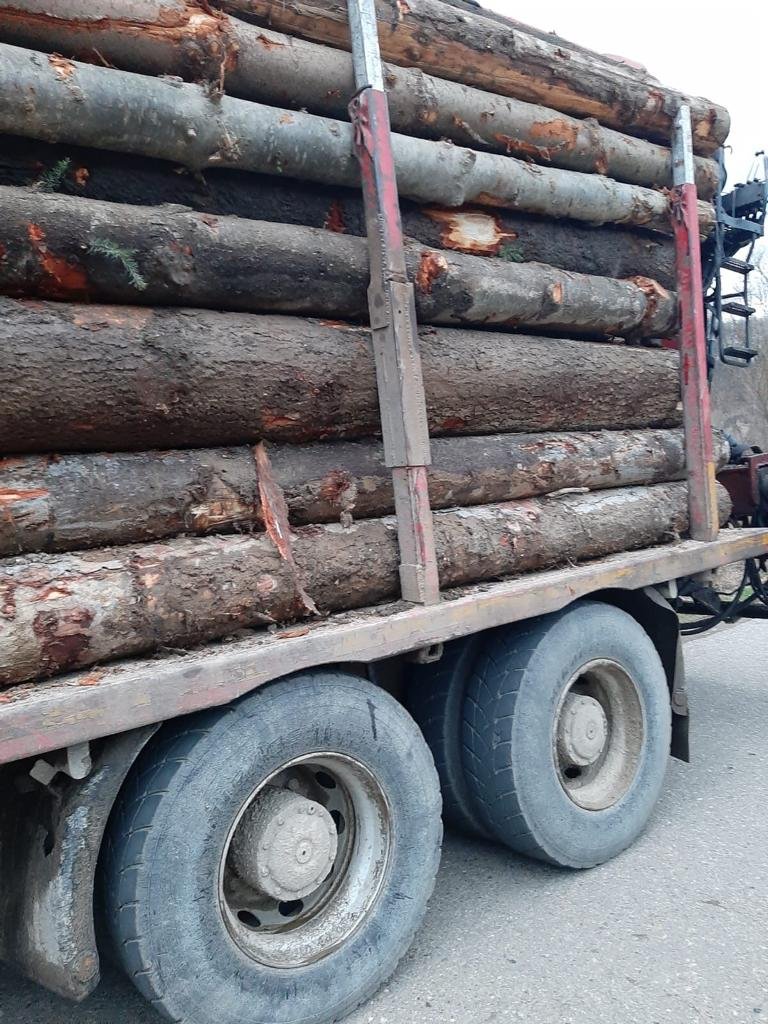 Jandarmii arădeni au recuperat lemn în valoare de zeci de mii de lei