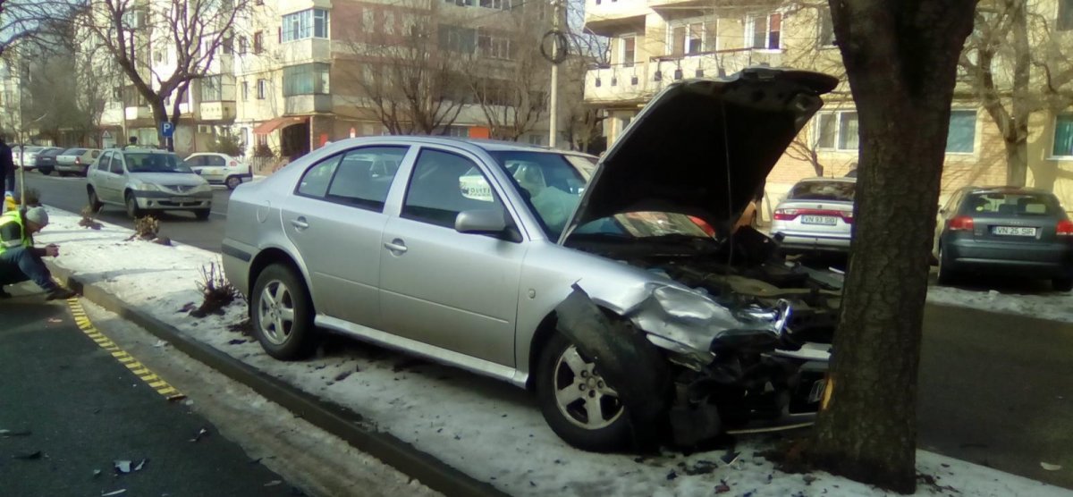 „Alerga un copac mai repede decât mine” la Arad