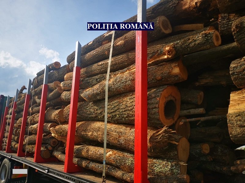 Transport ilegal de lemne depistat de poliţişti 