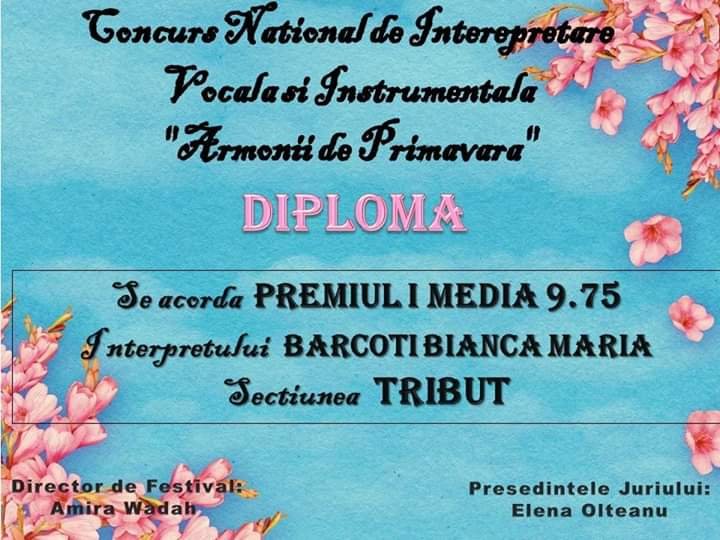 Trei premii naționale, o singură cursantă de la Şcoala Populară de Arte Arad