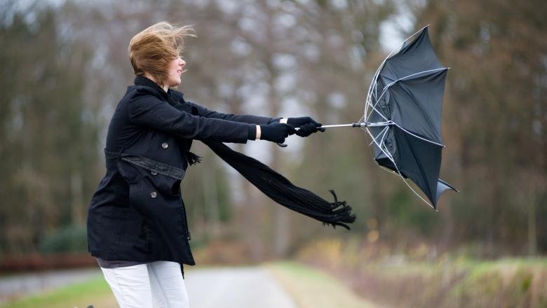 Cod GALBEN: România, lovită de fenomene meteo periculoase: vijelii, ploi torențiale și grindină