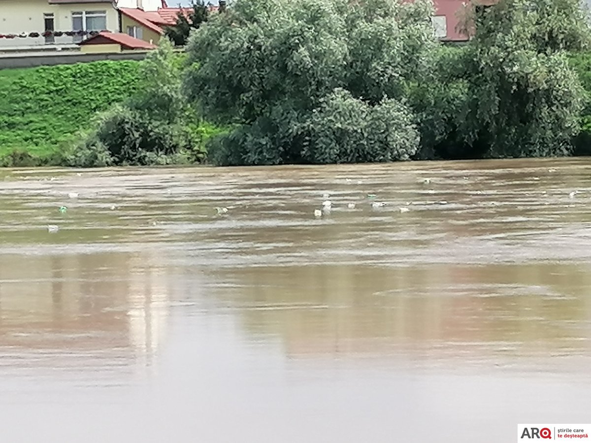 Mii de PET-uri plutesc pe Mureș (VIDEO) 