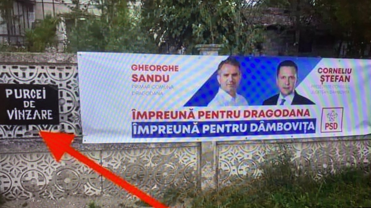 PSD... purcei de vânzare