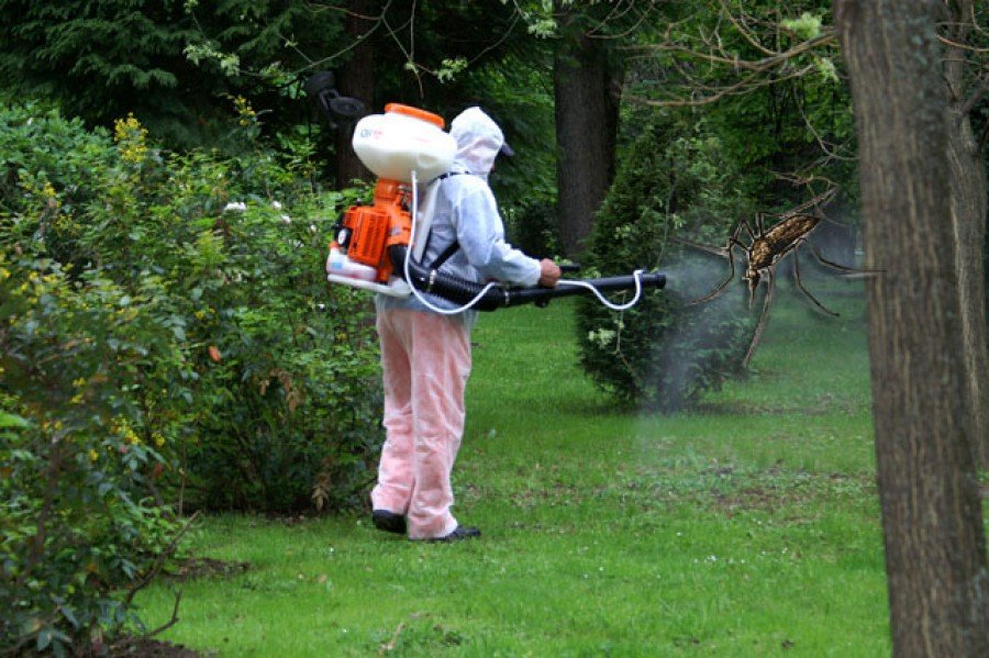 La Pecica se stropește împotriva țânțarilor; vezi când are loc operațiunea