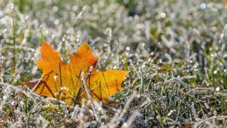 Val de FRIG peste România. Temperaturile scad dramatic, încep ninsorile