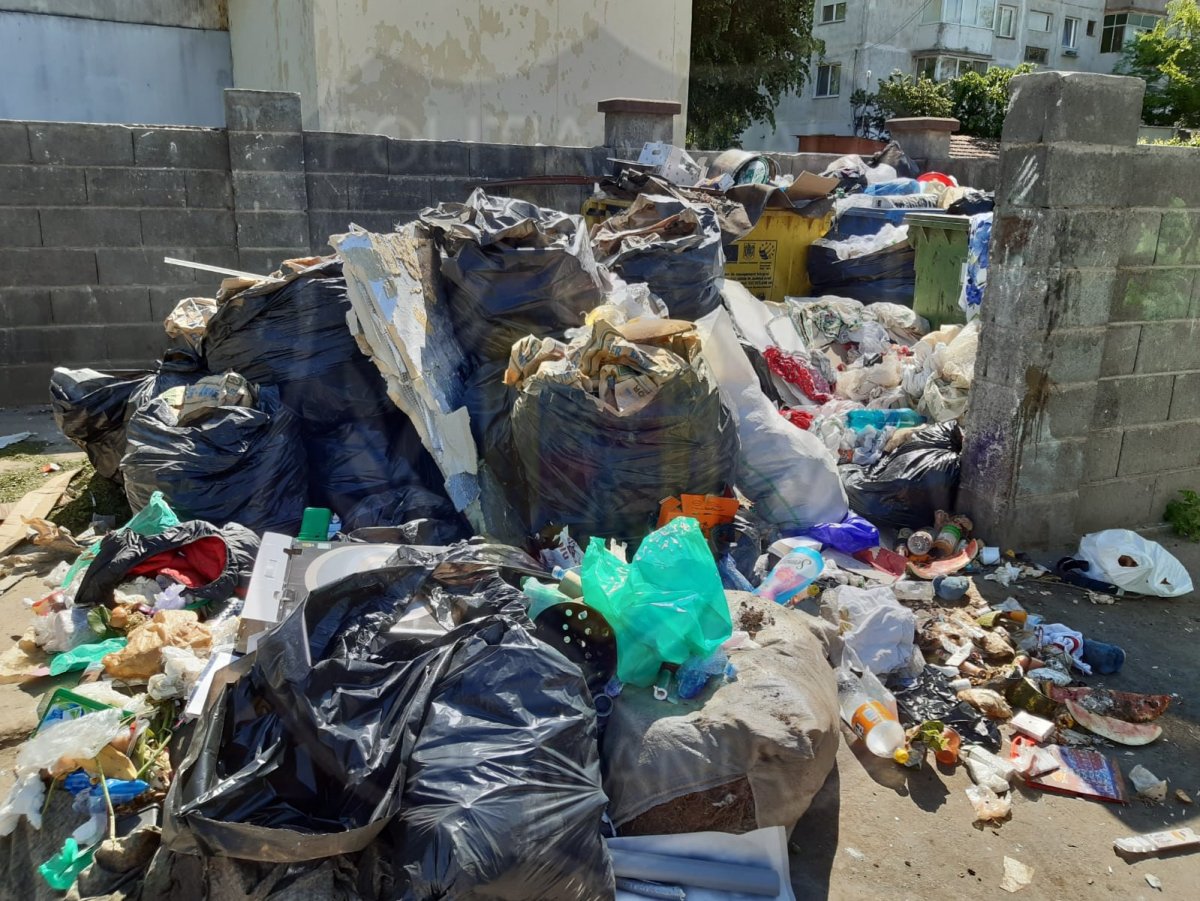 Poliția Locală vorbește despre un nou tip de turism în Arad: „turismul deșeurilor“ (FOTO)